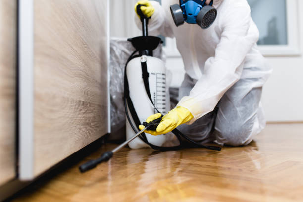 Best Affordable Exterminators  in Berkeley, IL