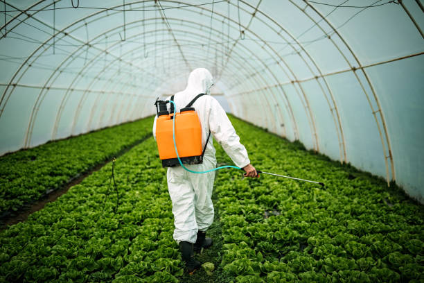 Best Pest Prevention Services  in Berkeley, IL