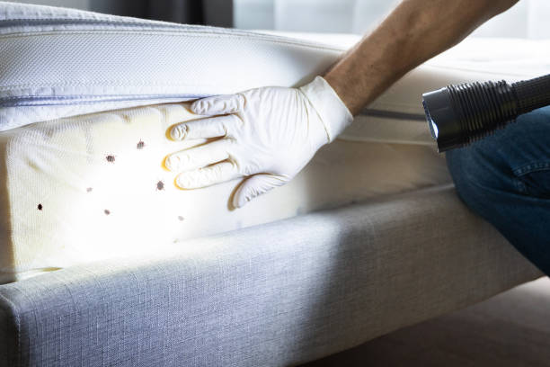 Pest Prevention Services in Berkeley, IL