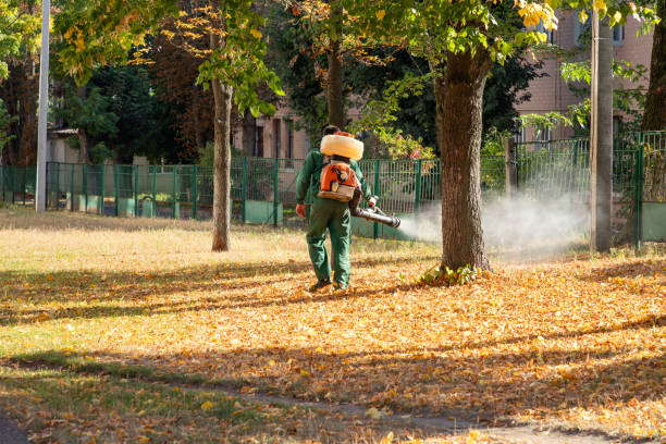 Best Insect Control  in Berkeley, IL