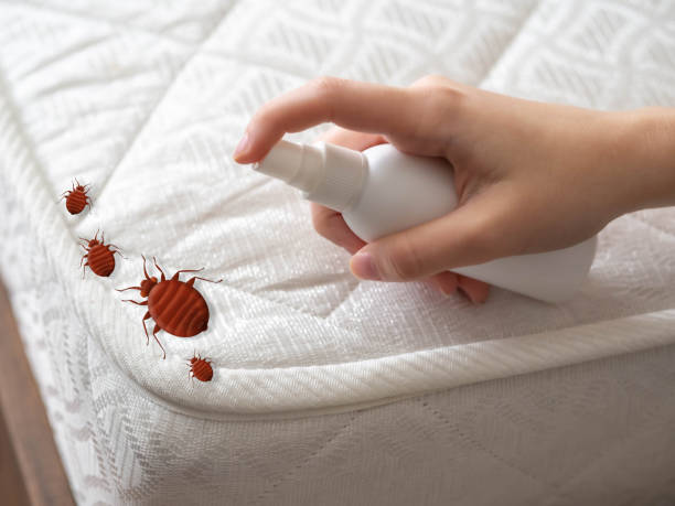 Best Pest Removal Services  in Berkeley, IL