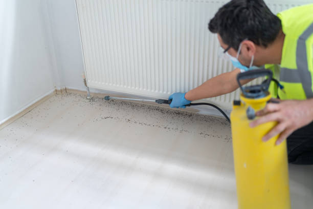 Best Pest Control Near Me in Berkeley, IL
