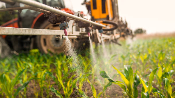 Best Wildlife Control Services  in Berkeley, IL